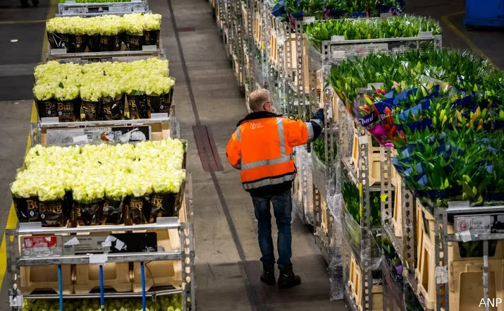 bloemen en plantenexport dichtbij record