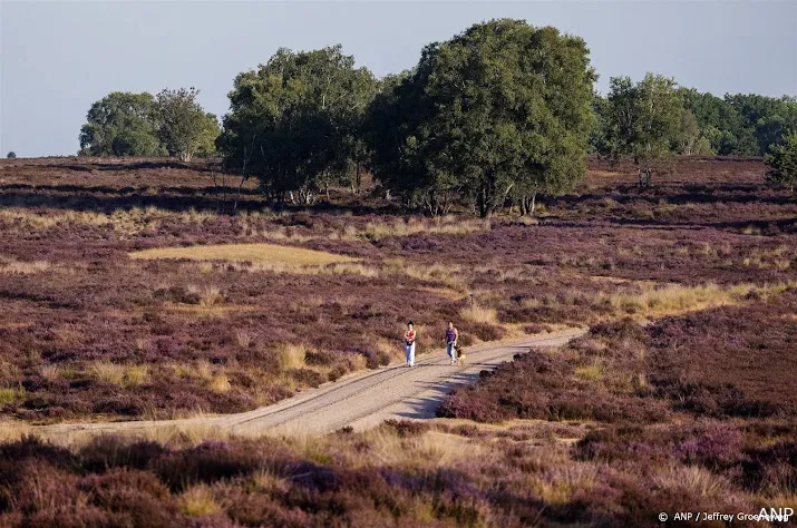 brandweer start verkenningsvluchten tegen natuurbranden veluwe