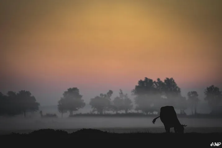 code geel in bijna hele land wegens dichte mist