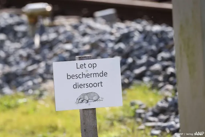 das en boom steunt wens prorail in te grijpen bij dassenoverlast