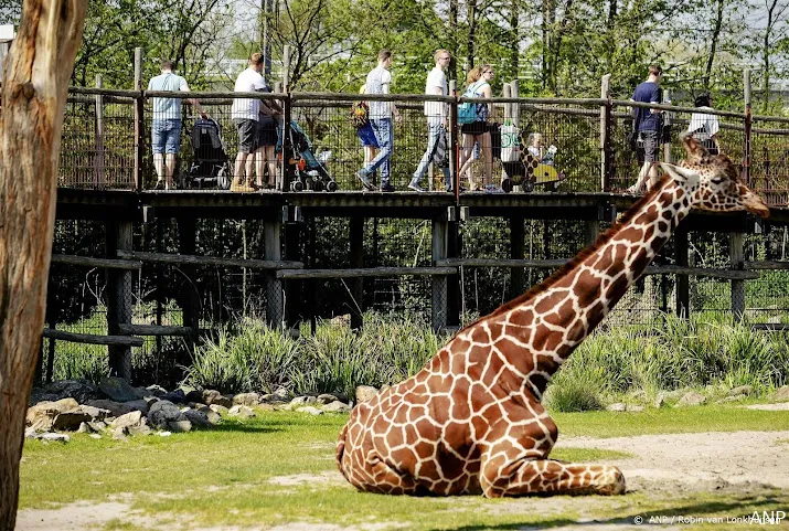 diergaarde blijdorp zet in op soortbehoud en natuurherstel