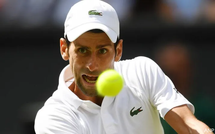 djokovic terug in halve finale wimbledon