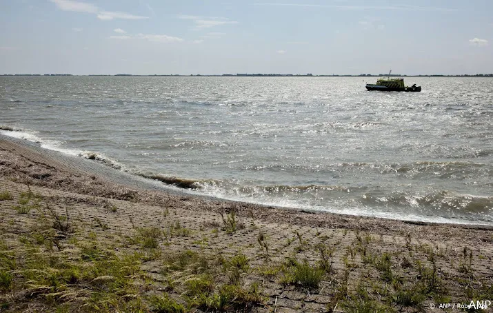 eet zo min mogelijk vis uit westerschelde vanwege pfas zegt rivm