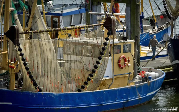 extra geld maakt uitkoop 19 garnalenvissers waddenzee mogelijk