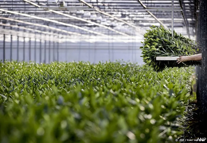 glastuinbouw belang internationale werknemers niet onderschatten