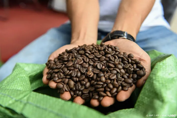 hittegolf vietnam jaagt prijs robusta koffie naar recordhoogte