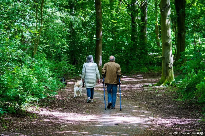 kleine bossen belangrijker dan gedacht