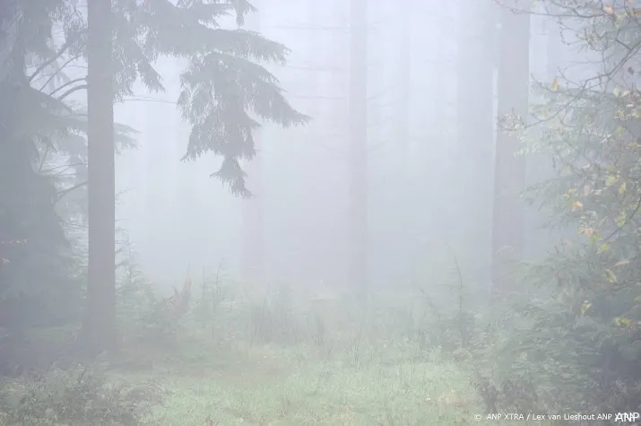 knmi waarschuwt voor dichte mist in hele land behalve oosten