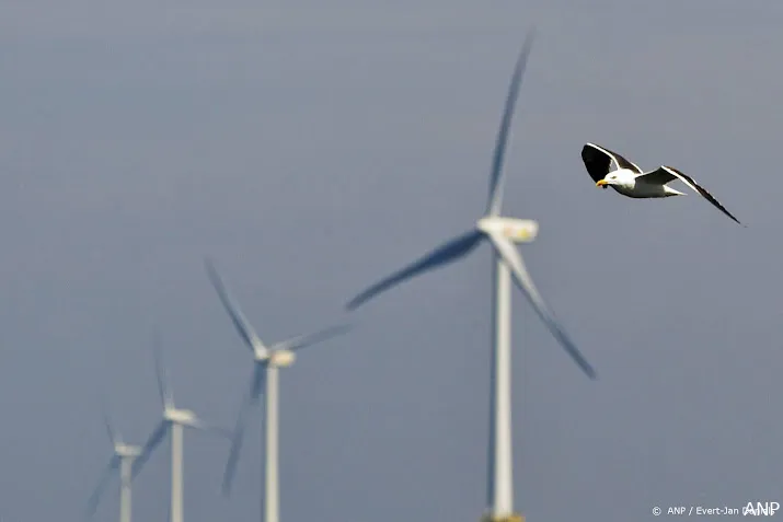 kunstmatige intelligentie zoekt en telt vogels in windparken