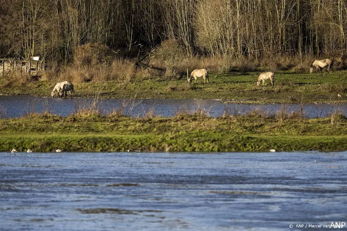 maas bereikt dinsdag hoogste punt rijn volgt donderdag