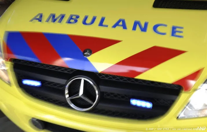 man ernstig gewond door steekincident in den bosch