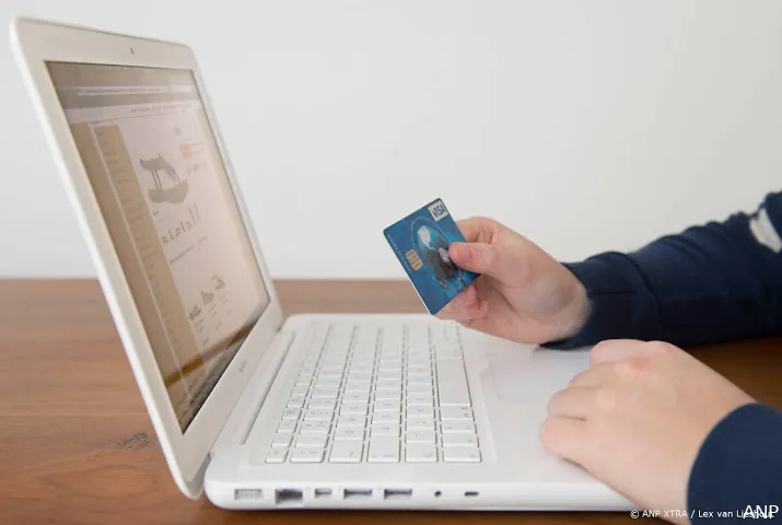 meer nederlanders shoppen online