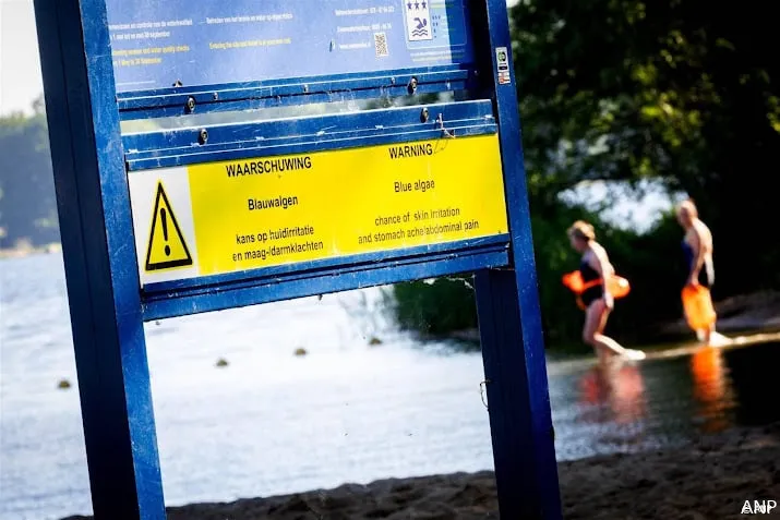 natte zomer is ook goed nieuws weinig meldingen blauwalg