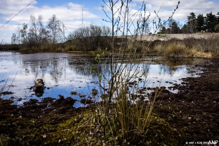 natuurorganisaties kabinet kiest voor verslechtering natuur