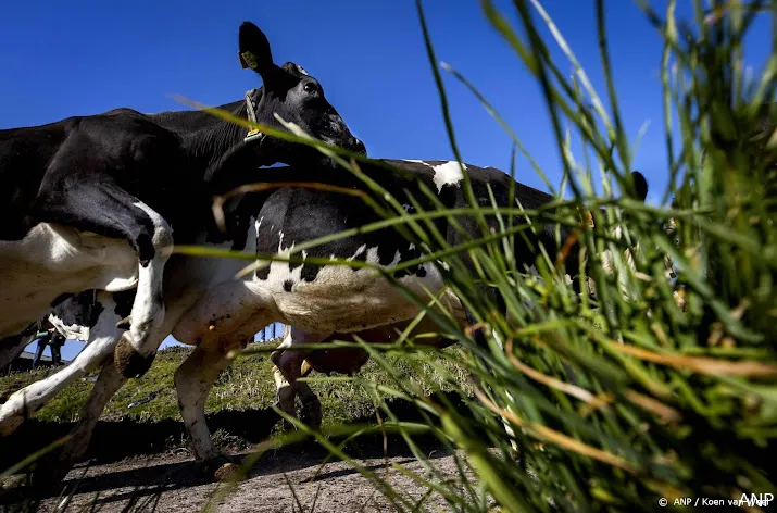 ondernemers kabinet moet haast maken met stikstofaanpak