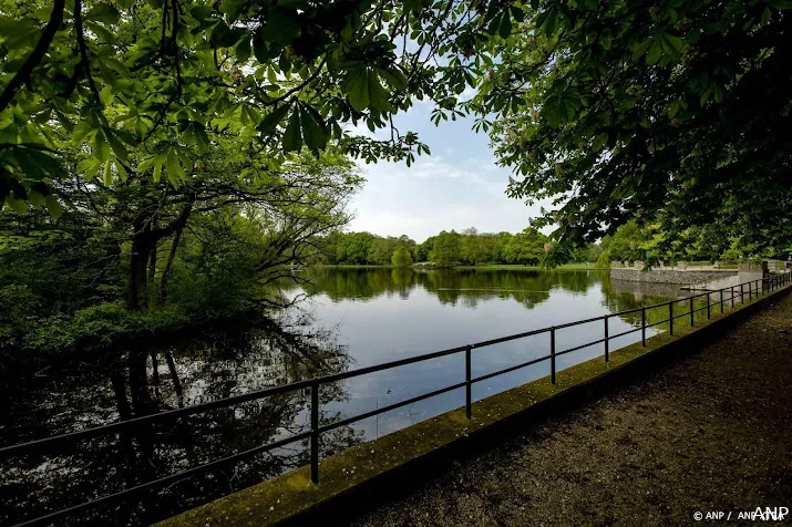 onderzoek gemeenten planten soms bomen die soortenrijkdom schaden