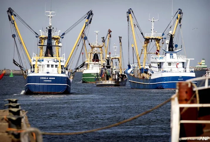 onderzoeker snel ingrijpen nodig om verzekeren toekomst visserij