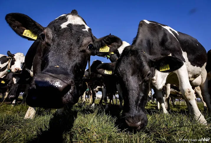 ook finse boeren gaan dsm supplement voor koeien testen