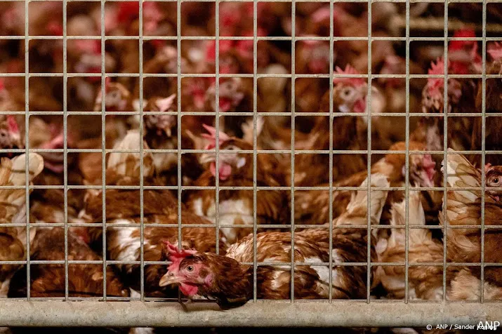 opnieuw landelijke ophokplicht na nieuwe uitbraken vogelgriep