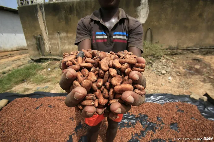 oxfam novib recordprijzen cacao gevolg van onderbetaling boeren