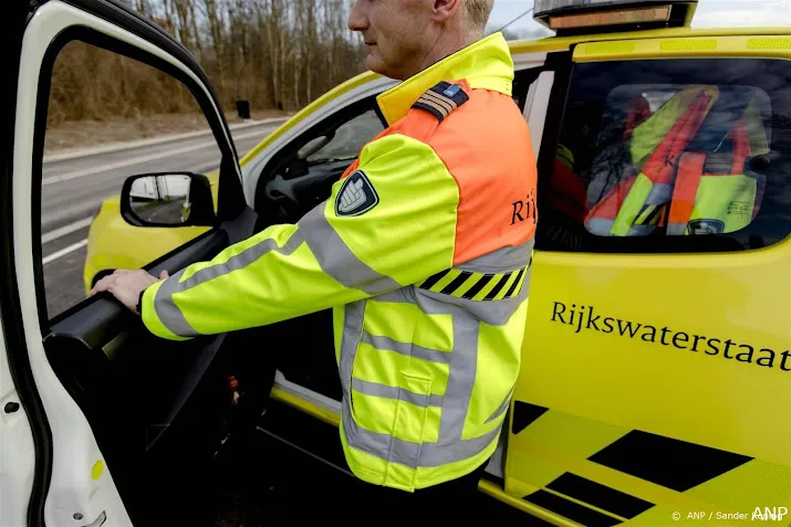 rijkswaterstaat druk met opruimen honderden dode meeuwen