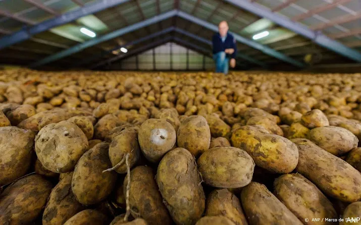 supermarkten stappen over op resistente biologische aardappelen