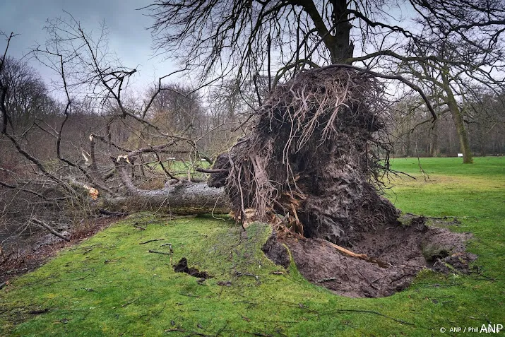 uniek zes dagen met storm op rij