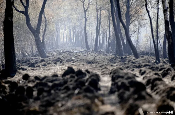 veiligheidsregio presenteert onderzoek naar peelbrand