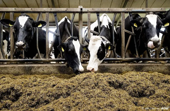 viroloog niet nodig te stoppen met eten van rundvlees om bse koe