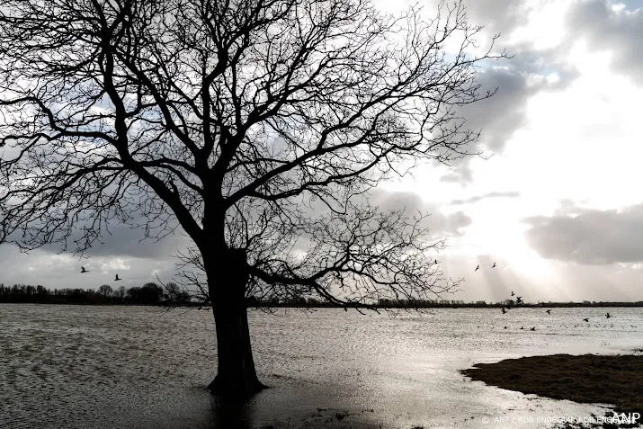 waterschap laat eendragtspolder vollopen wegens waterstand rotte