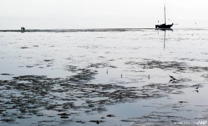 zorg voor waddenzee moet beter