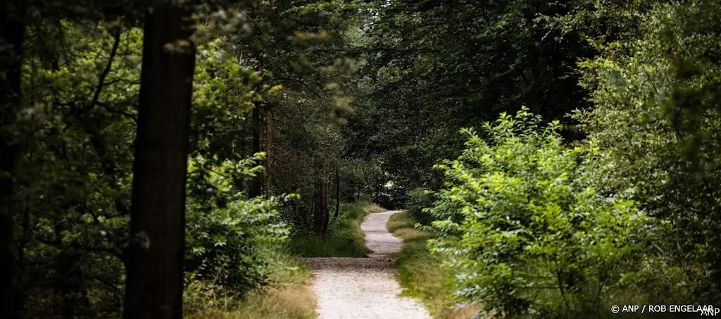 anp010824178 1