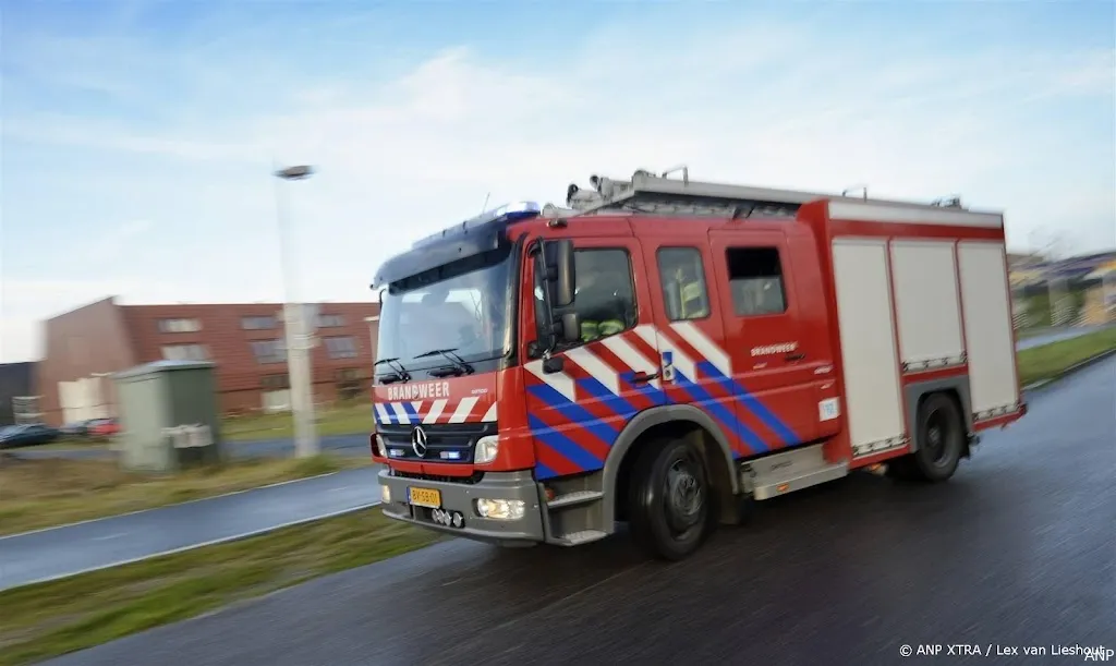 anp241124174 1