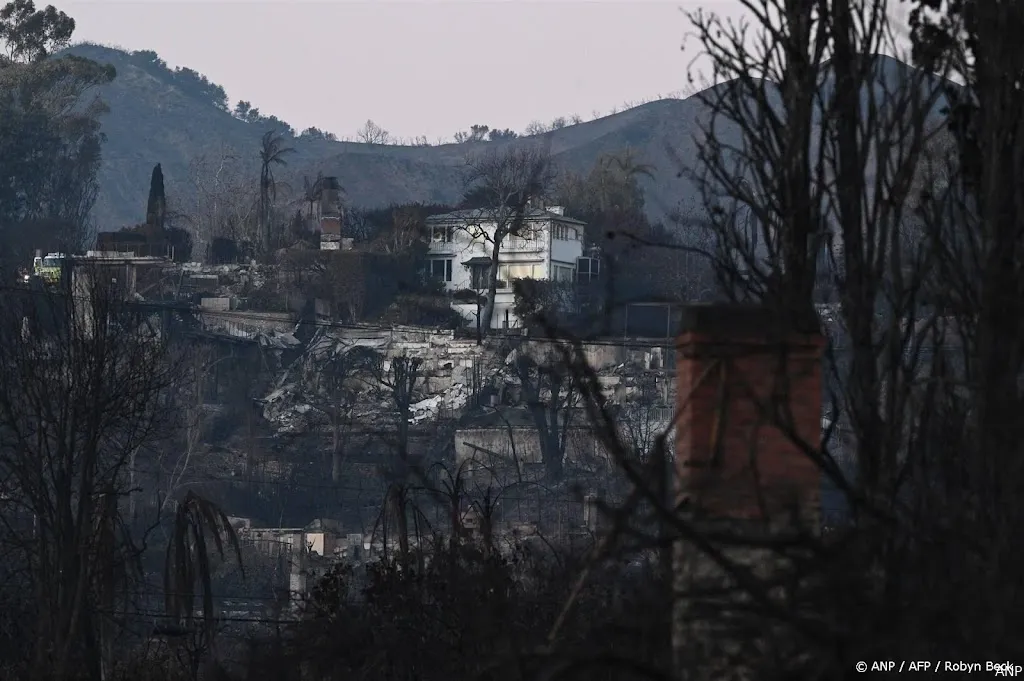 anp190125126 1