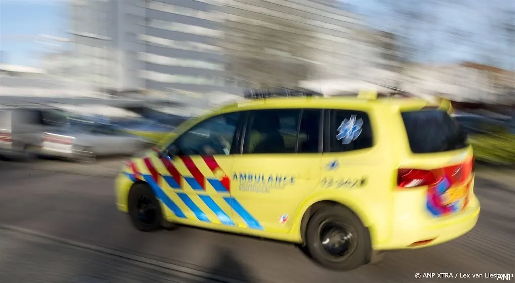 anp300325073 1