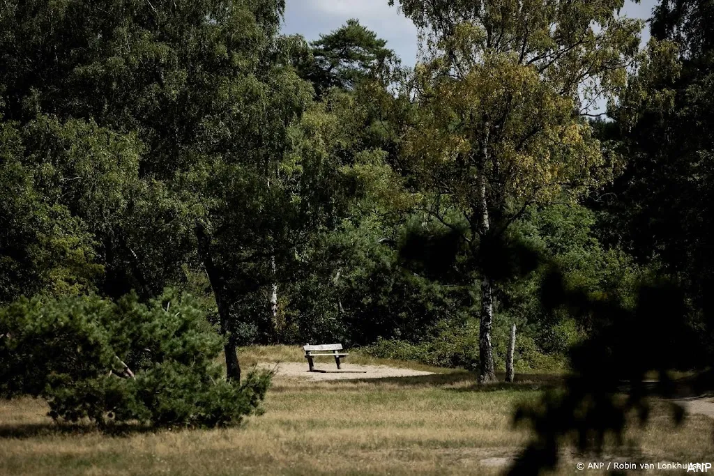 anp220825117 1