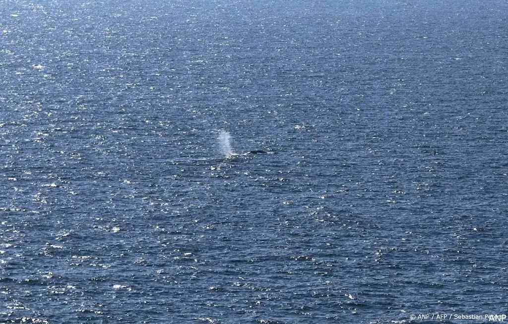 anp150526088 1