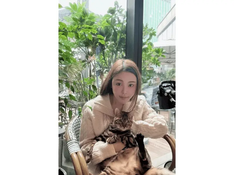 influencer-abby-choi-800x600