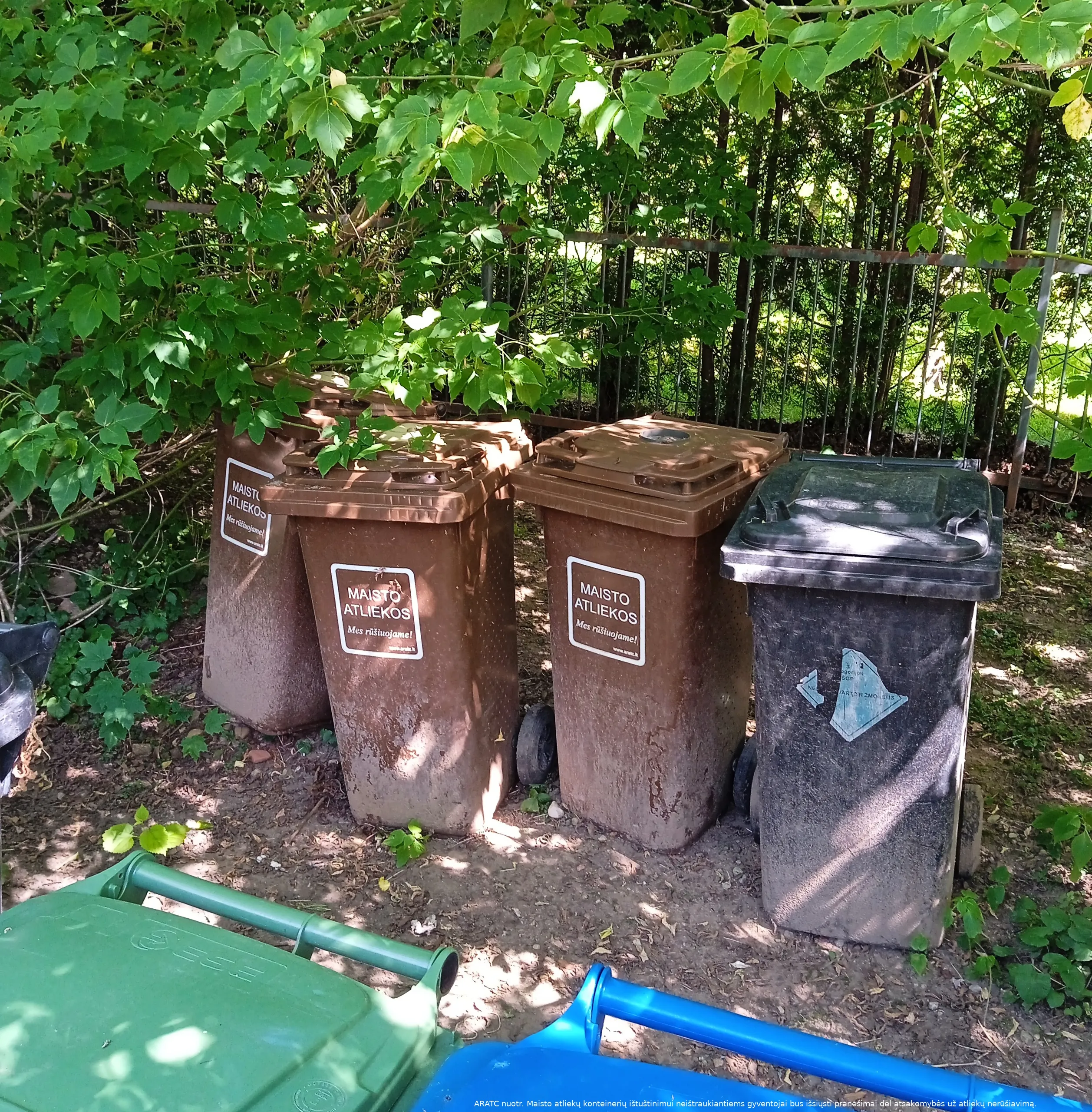 maisto konteineriai neistraukiami