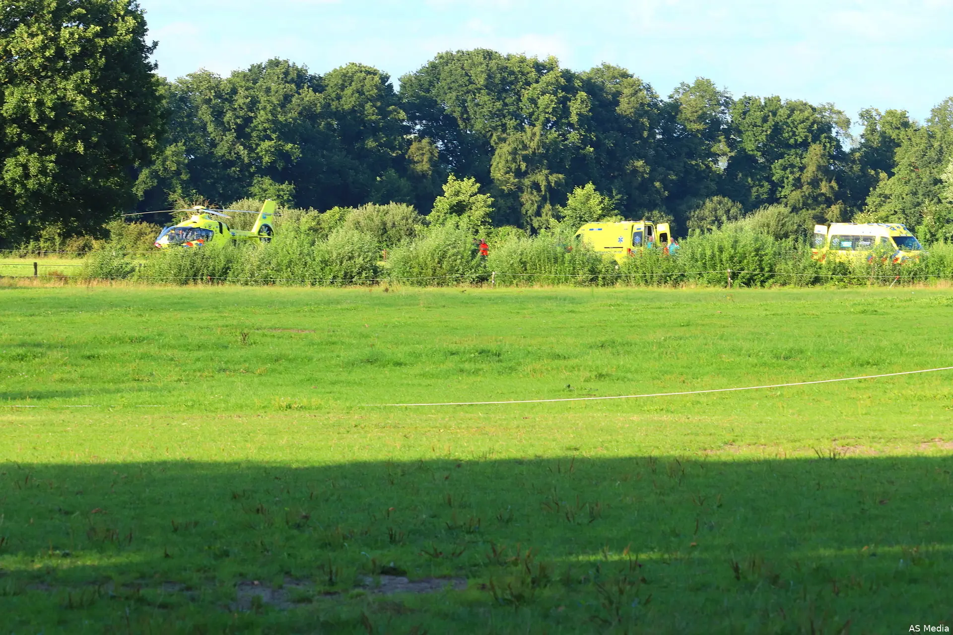 pony gevallen renswoude