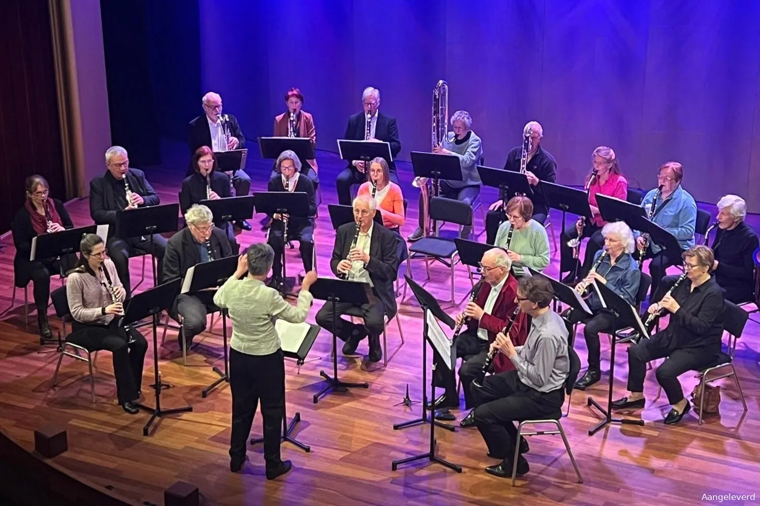 haarlems clarinet choir