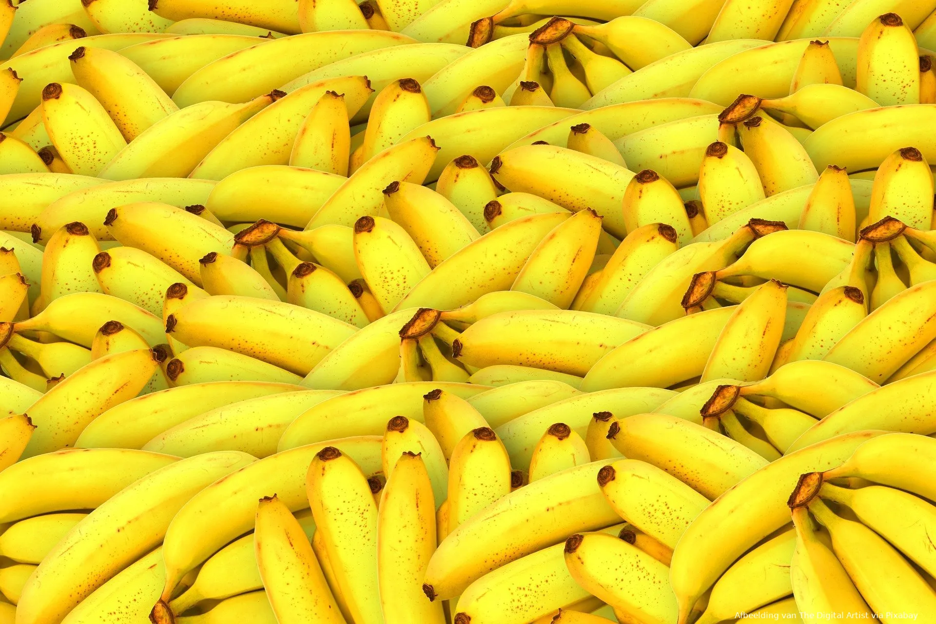 bananas 1119790 1920