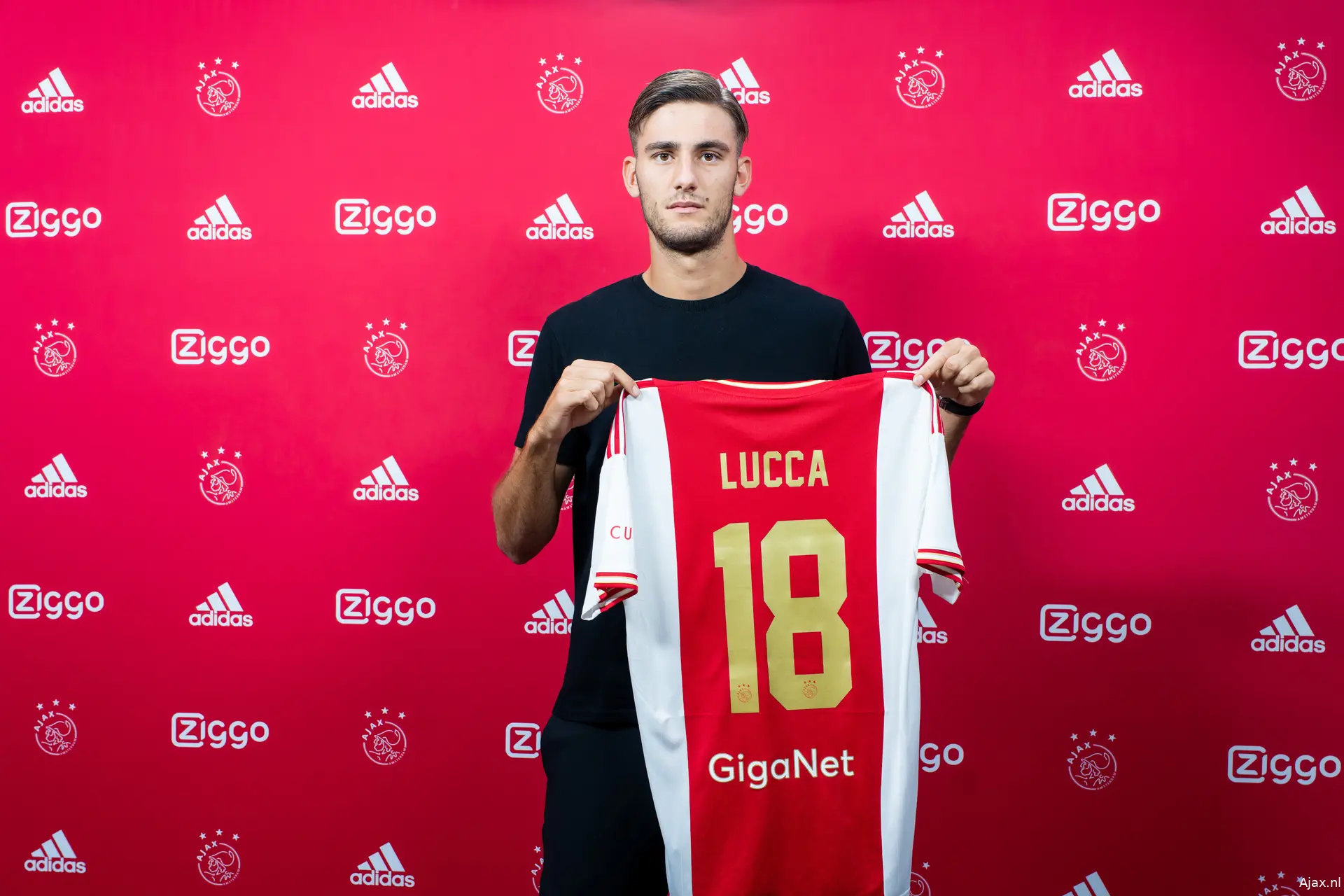 Lorenzo Lucca rugnummer