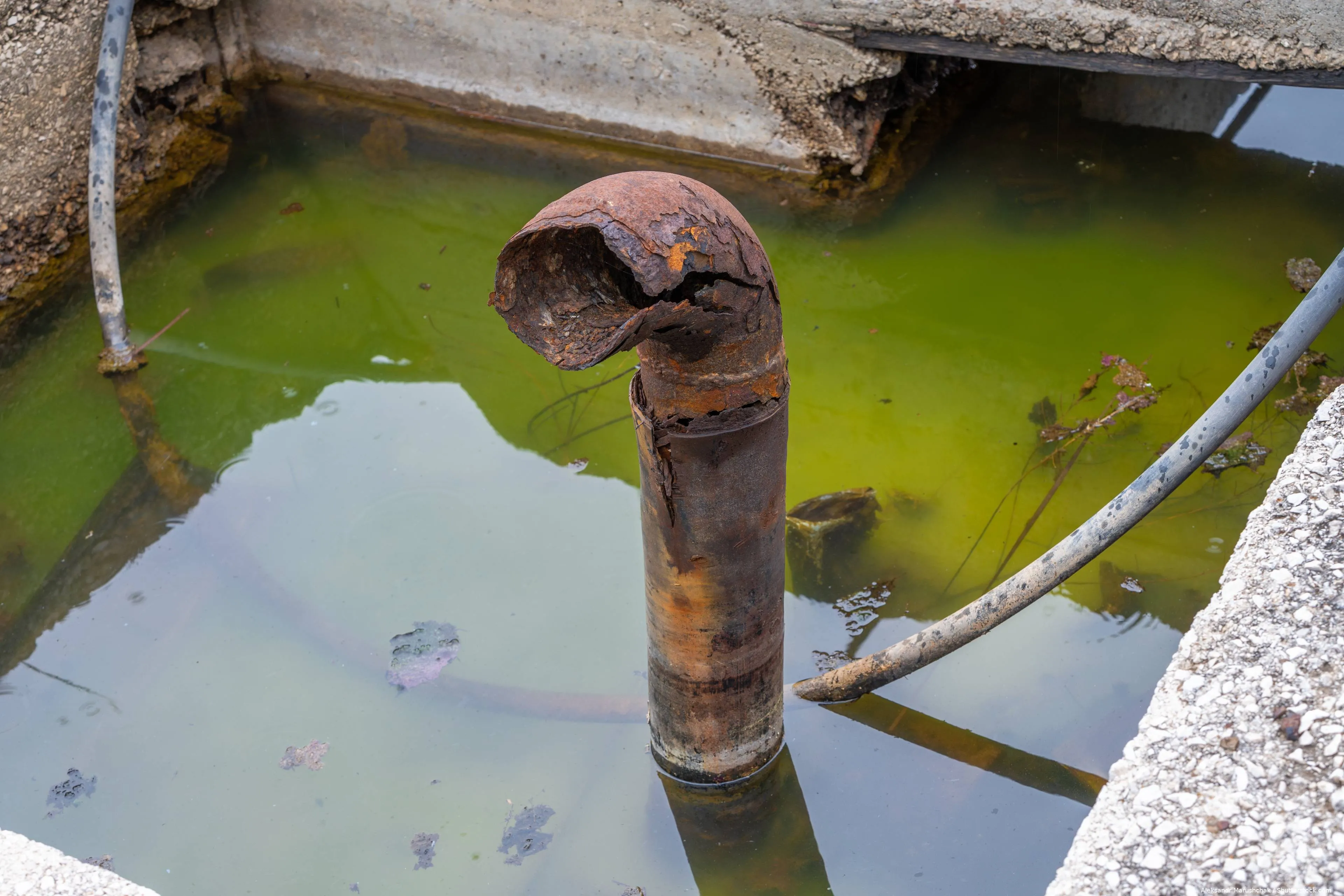 shutterstock_2644047219