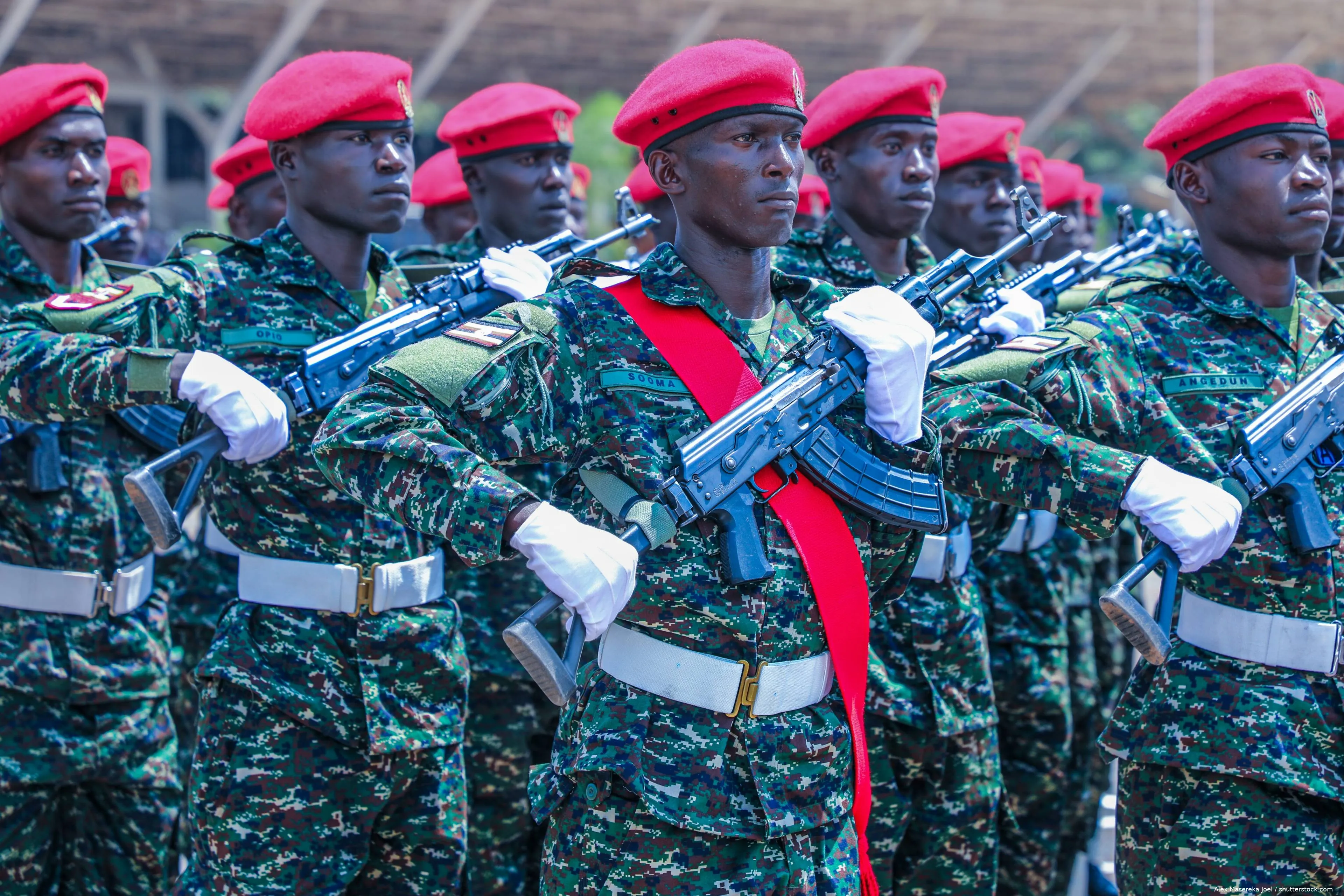 shutterstock_2689965075