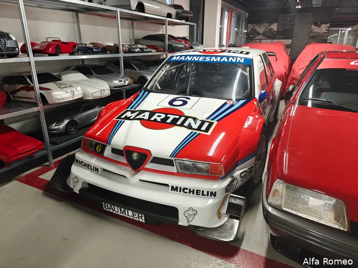 De rally-auto's vragen met hun kleuren ook aandacht.