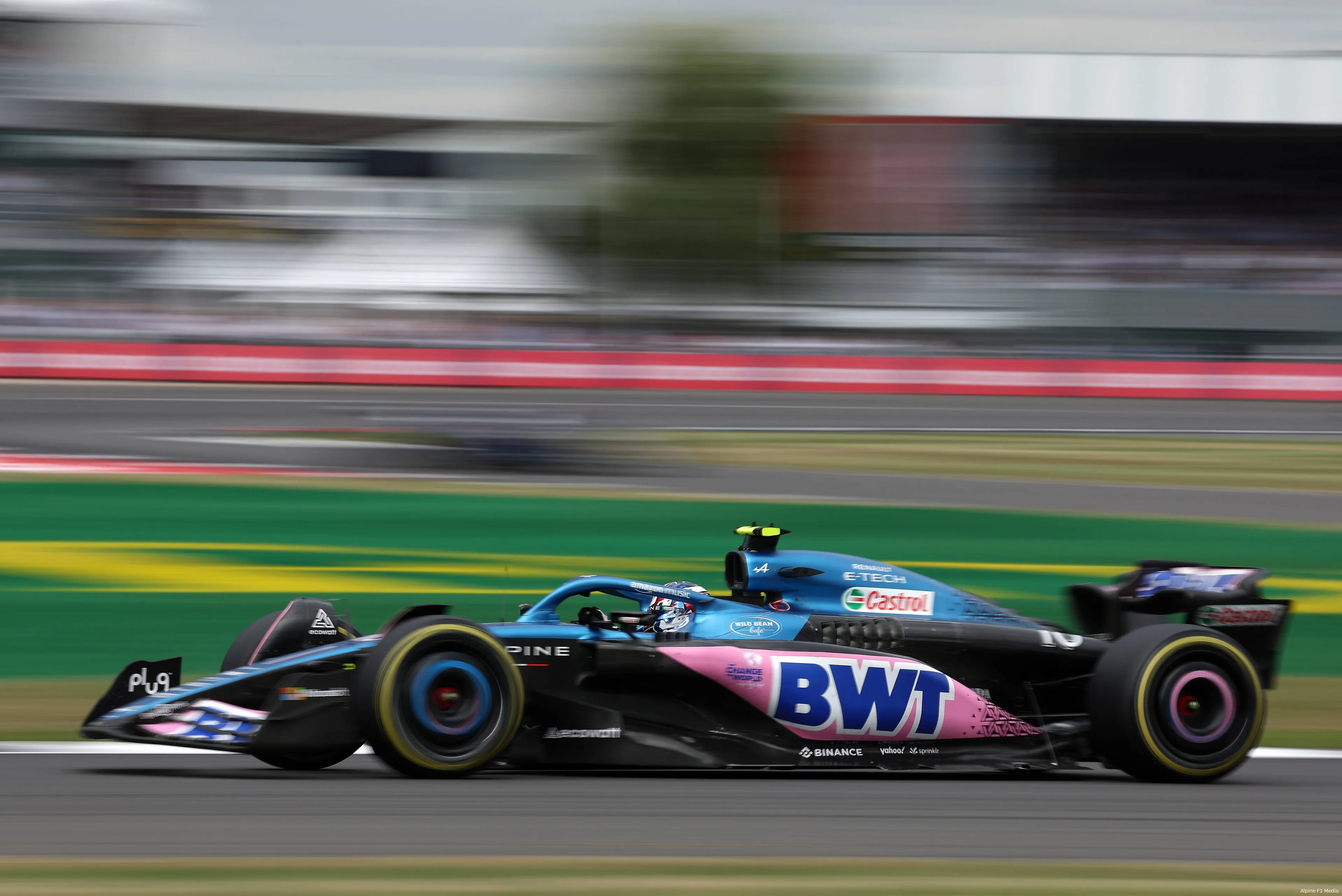 gasly pierre alpine car13