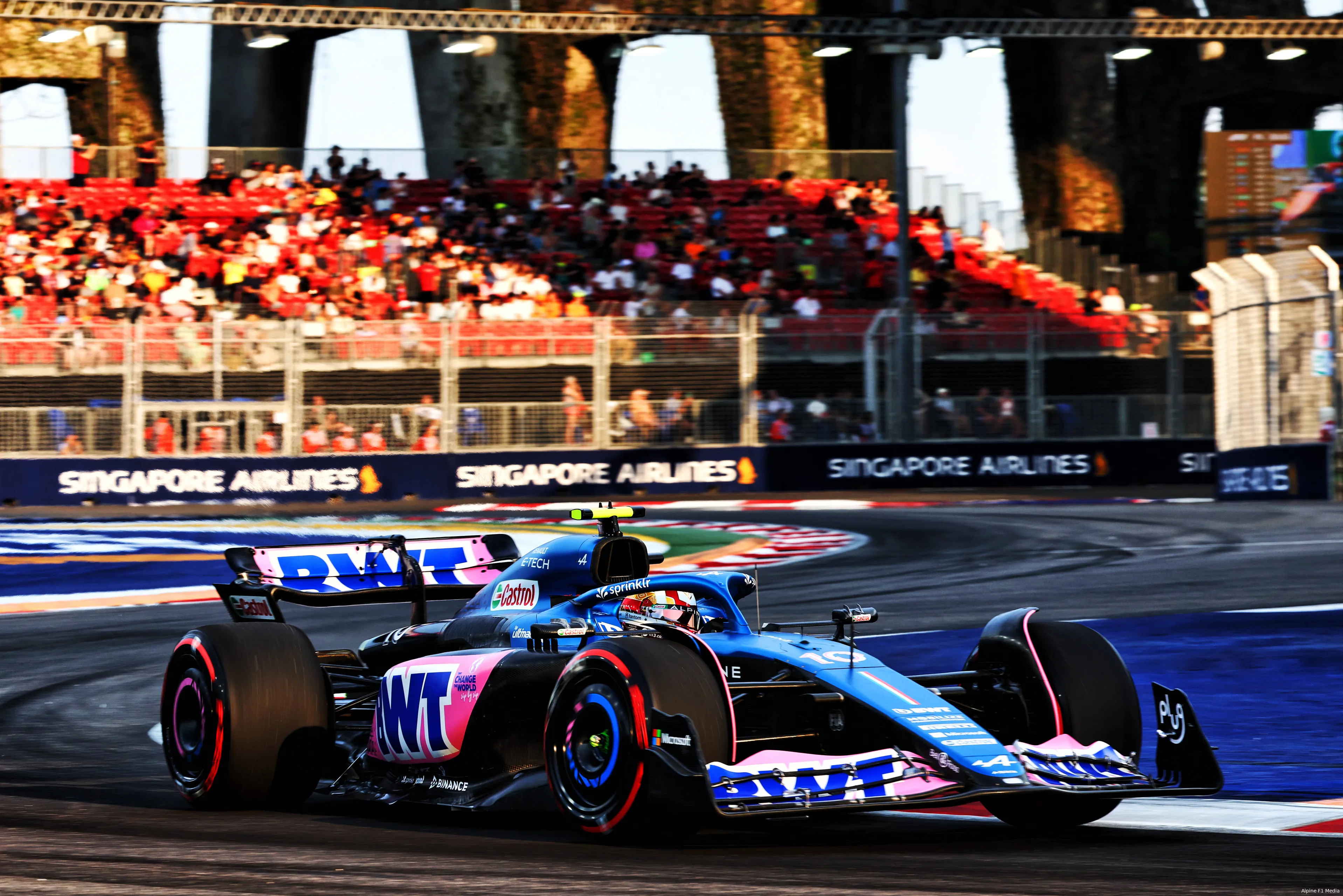 gasly pierre alpine car42