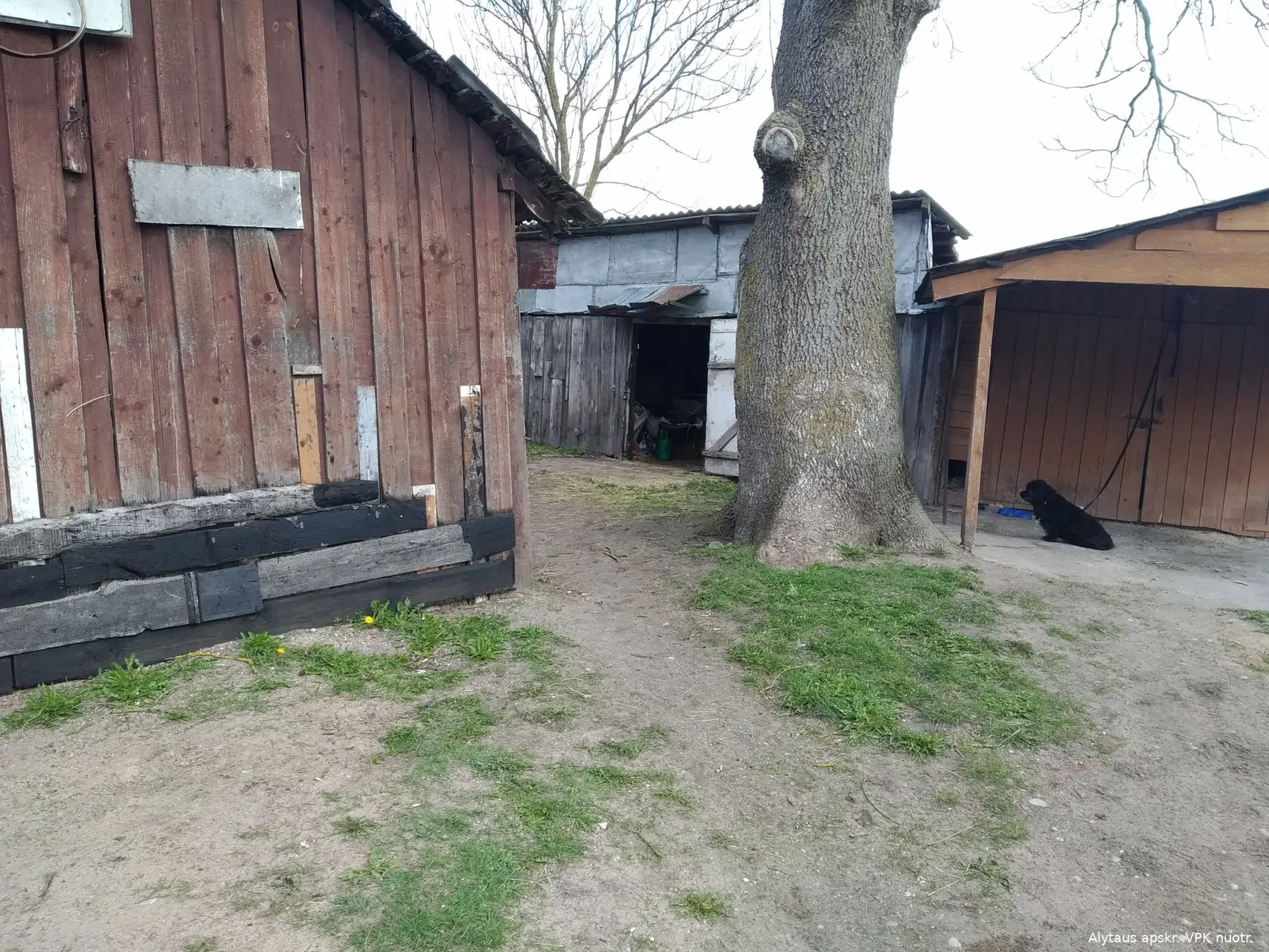 img 20210428 105231