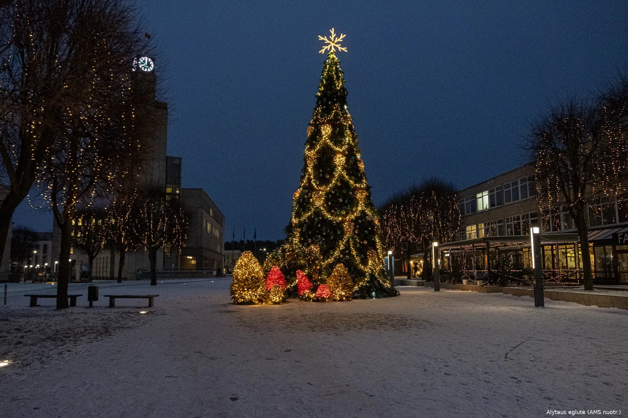 eglute 2021ams nuot 2